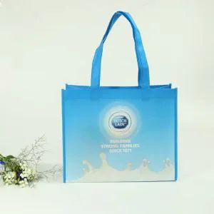 100 Gram Non Woven Promosyon Çanta Ürün Paketleme Poşeti